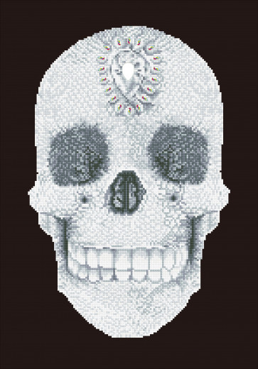 DIAMOND DOTZ Crystal Skull 42x60 cm