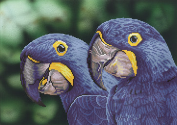 DIAMOND DOTZ Blue Hyacinth Macaws 52x37 cm