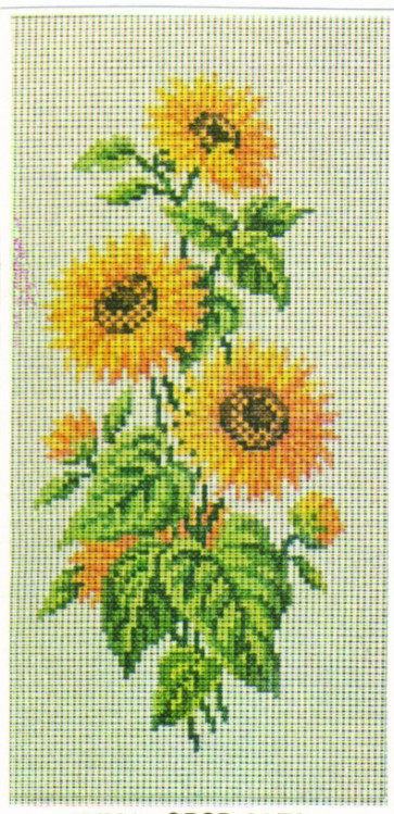 MILLER Sudan  "Sonnenblumen"  ca. 34x70