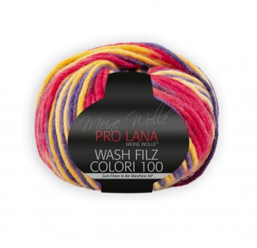 PRO LANA Wash-Filz colori 100 5x100g