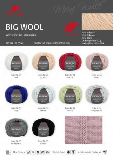 PRO LANA Big Wool 10x100g
