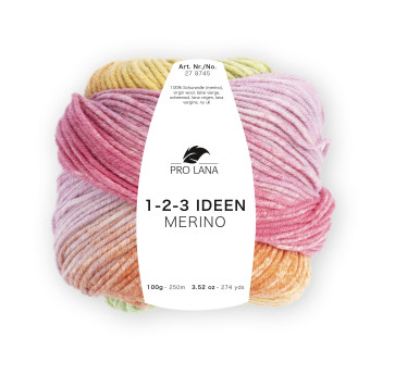PRO LANA 1-2-3 Ideen Merino 5x100g
