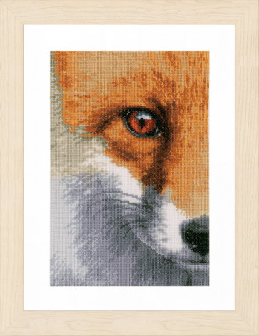LAN Zählmusterpackung Fuchs