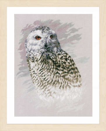 LAN Zählmusterpackung Snowy Owl