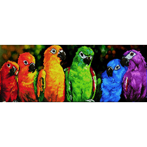 DIAMOND DOTZ Rainbow Parrots 77x30 cm
