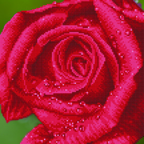 DIAMOND DOTZ Rose Dew 30,5x30,5 cm  (2 St)