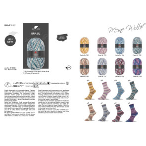 PRO LANA Brasil 4f. 100g - Sort. 8kg