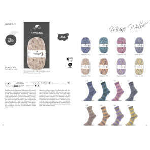 PRO LANA Golden Socks Ravenna 4f. Sortiment (8kg)