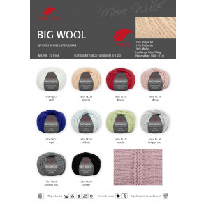 PRO LANA Big Wool 10x100g