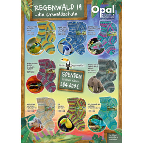 Opal Regenwald 19 4fach Sortiment