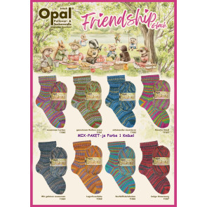 Opal Friendship 6-fach (8x1Knäuel)