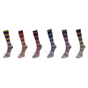 LAINES DU NORD Gulp Sock Sortiment - 6x1kg *