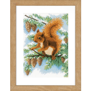 VER Zählmusterpackung Eichhörnchen in Kiefer